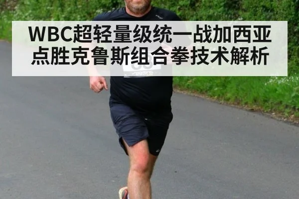 WBC超轻量级统一战加西亚点胜克鲁斯组合拳技术解析